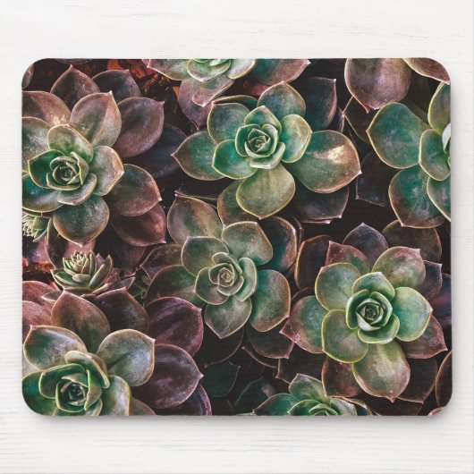 sukkulent mousepad (Vorne)