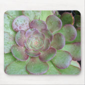 sukkulent mousepad (Vorne)