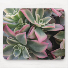 sukkulent mousepad