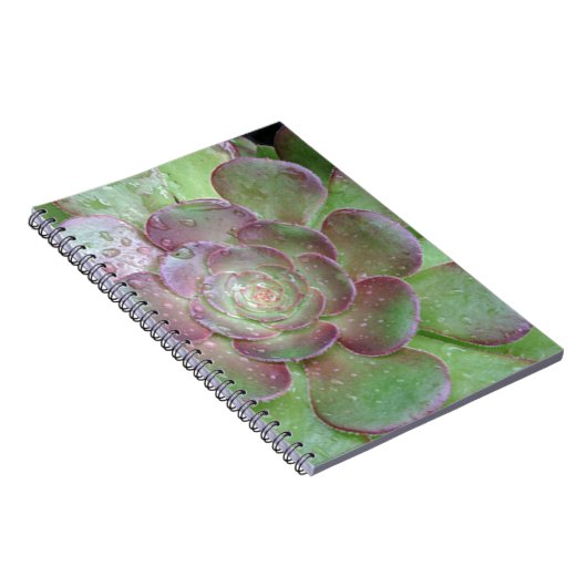 sukkulent notizblock (Rechte Seite)