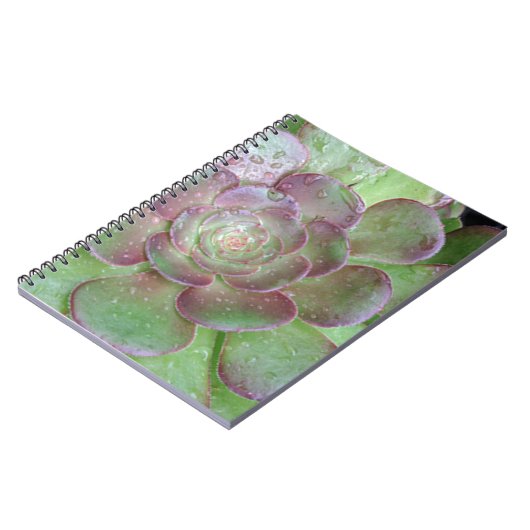 sukkulent notizblock (Linke Seite)