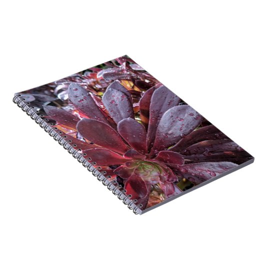 sukkulent notizblock (Rechte Seite)