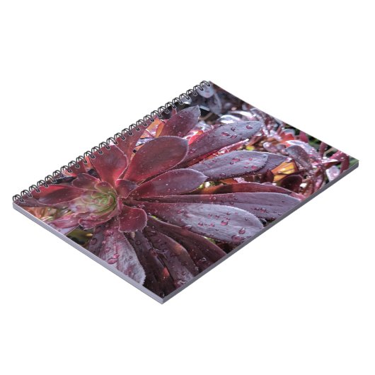 sukkulent notizblock (Linke Seite)