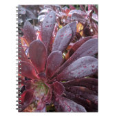 sukkulent notizblock (Vorderseite)