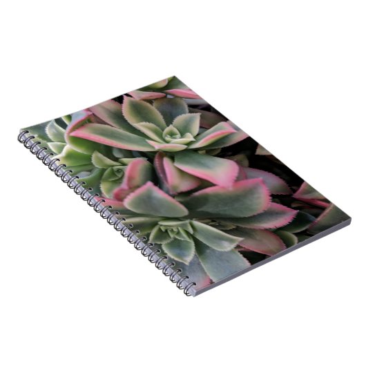 sukkulent notizblock (Rechte Seite)