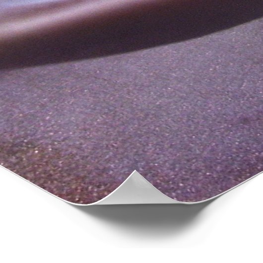 Sukkulent Poster (Ecke)