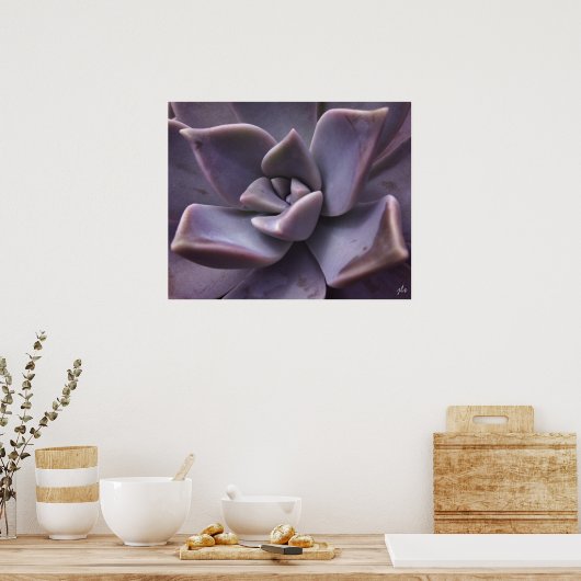 Sukkulent Poster (Küche)