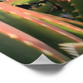 sukkulent poster (Ecke)