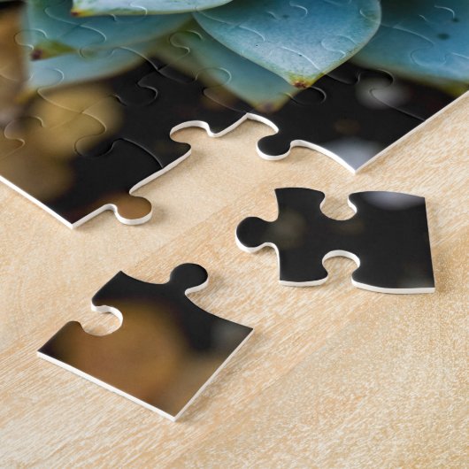 sukkulent puzzle (Seite)
