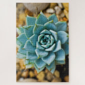 sukkulent puzzle (Vertikal)