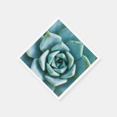 sukkulent serviette (Ecke)