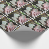 #sukkulent, Sukkulente Pflanze, hübsch rosa sukkul Geschenkpapier (Ecke)