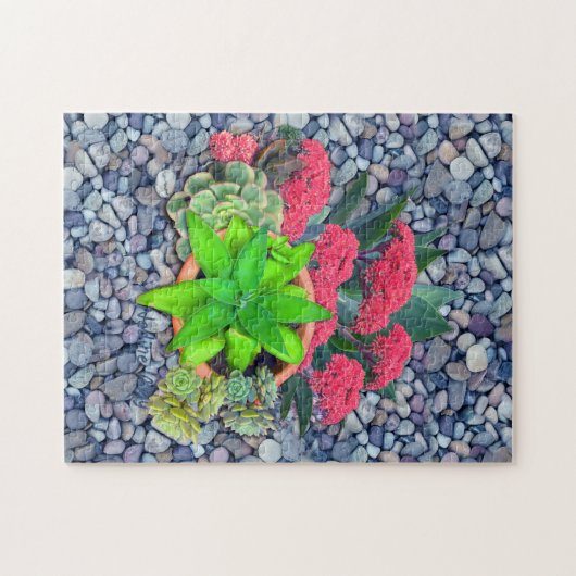 Sukkulente an einem Flussbett Puzzle (Horizontal)