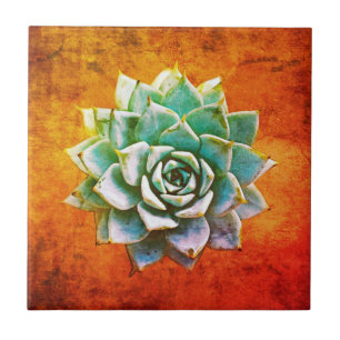 Sukkulente Aquarell auf Orange Rost Fliese