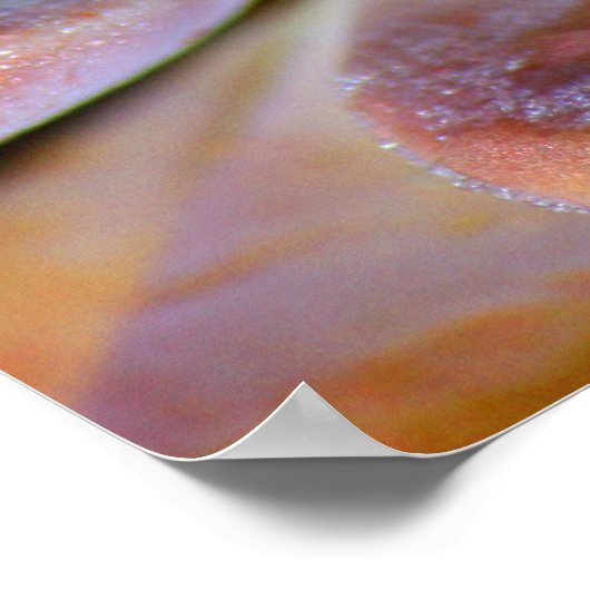 Sukkulente Blätter Poster (Ecke)