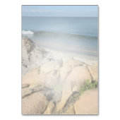 Sukkulente Blues Tischnummer (Rückseite)