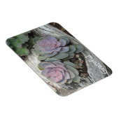 Sukkulente Dankbarkeit Magnet (Rechte Seite)