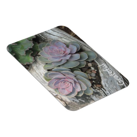 Sukkulente Dankbarkeit Magnet (Rechte Seite)