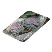 Sukkulente Dankbarkeit Magnet (Linke Seite)