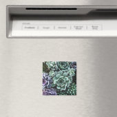 Sukkulente Grüne Pflanze Magnet (In Situ (Geschirrspüler))