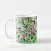 Sukkulente    kaffeetasse (Links)