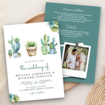 Sukkulente Kakteen in einer Hochzeit