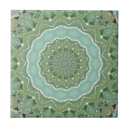 Sukkulente Mandala Fliese (Vorderseite)