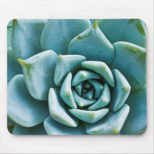 Sukkulente Mousepad