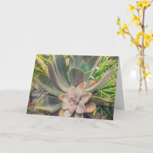 Sukkulente, Muttertag Karte (Gelbe Blume)