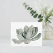 Sukkulente Pflanze Aquarellbilder Postkarte (Stehend Vorderseite)