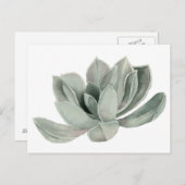 Sukkulente Pflanze Aquarellbilder Postkarte (Vorne/Hinten)