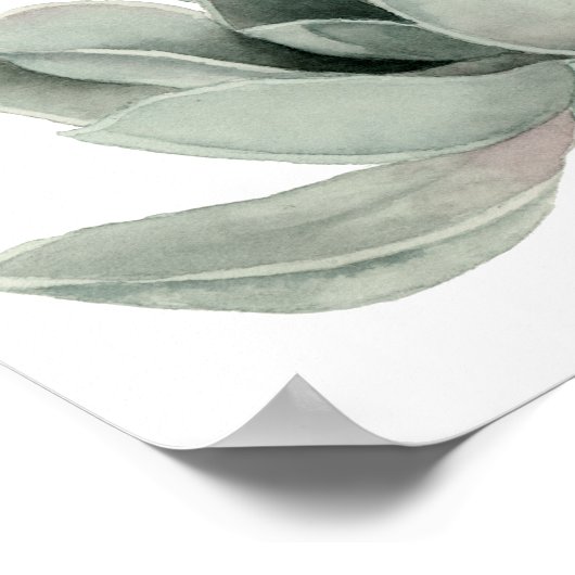 Sukkulente Pflanze Aquarellmalerei Poster (Ecke)