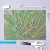 Sukkulente Pflanze Grüne verkleidete Glaskunst Seidenpapier (Handwerk)