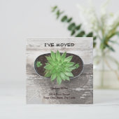 Sukkulente Pflanze Ich habe eine neue Adresse vers Ankündigung (Stehend Vorderseite)