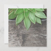 Sukkulente Pflanze Ich habe eine neue Adresse vers Ankündigung (Rückseite)