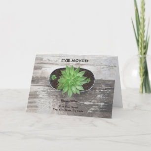 Sukkulente Pflanze Ich habe eine neue Adresse vers Ankündigung