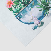 Sukkulente Pflanze in den Töpfen Seidenpapier (Ausschnitt)