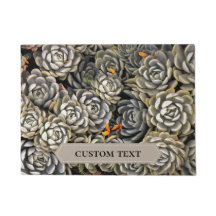 Sukkulente Pflanze in Grautönen und Brauntönen Doo