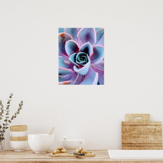Sukkulente Pflanze Natur Fotografie Foto Poster (Küche)