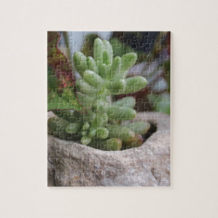Sukkulente Pflanze und Chameleon-Pflanze Puzzle