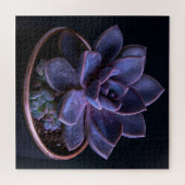 Sukkulente puzzle (Horizontal)