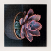 Sukkulente puzzle (Horizontal)
