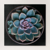Sukkulente puzzle (Horizontal)
