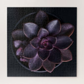 Sukkulente puzzle (Horizontal)