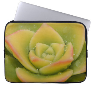 Sukkulente Rosetten-Natur-Botanik-Design-Druck Laptopschutzhülle