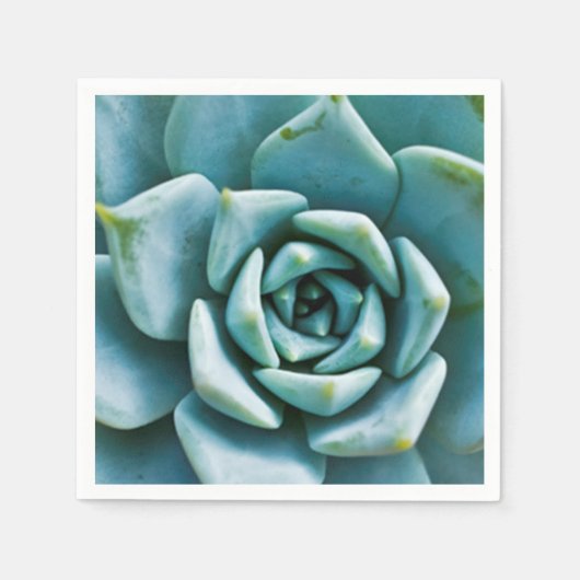 Sukkulente Serviette (Vorderseite)