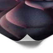 Sukkulente Sinfonie - Lebhafte botanische Musik Poster (Ecke)