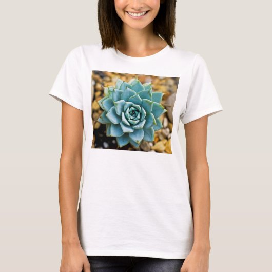 Sukkulente T-Shirt (Vorderseite)