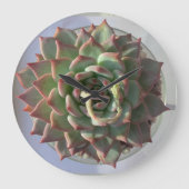 Sukkulente Uhr (Vorderseite)