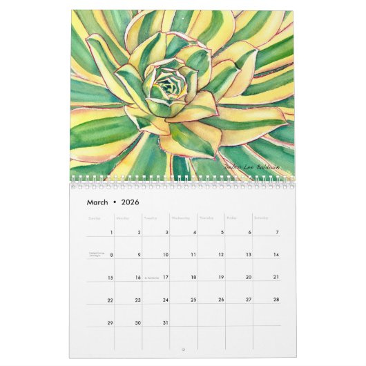 Sukkulente Wasserfarben 12 Monate #4 Kalender (Mär 2026)